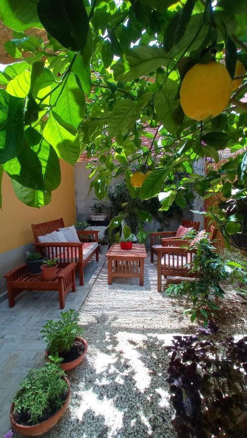Green House Avola Dış mekan fotoğraf